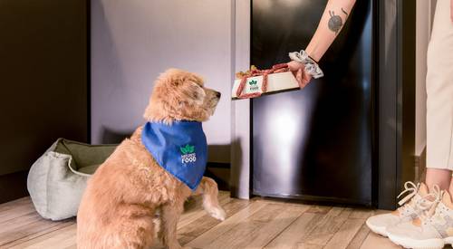 Canadian dog owner using Global Pet Foods loyalty card for extra pet savings