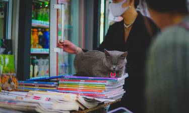 Pet owner using coupons at a Canadian pet store checkout