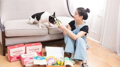 Canadian pet owner stacking coupons for pet supplies