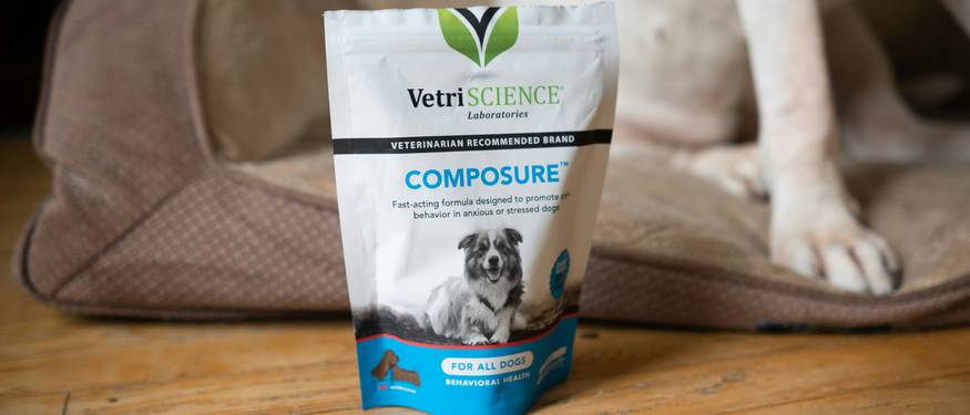 Canadian pet parent using Pet Valu coupons while shopping for premium dog food
