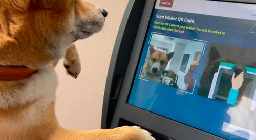 PetSmart shopper using a printable and digital coupon at checkout in Canada