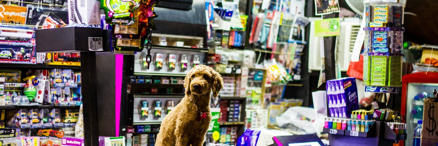 PetSmart shoppers with their dog using coupons at checkout in a Canadian pet store