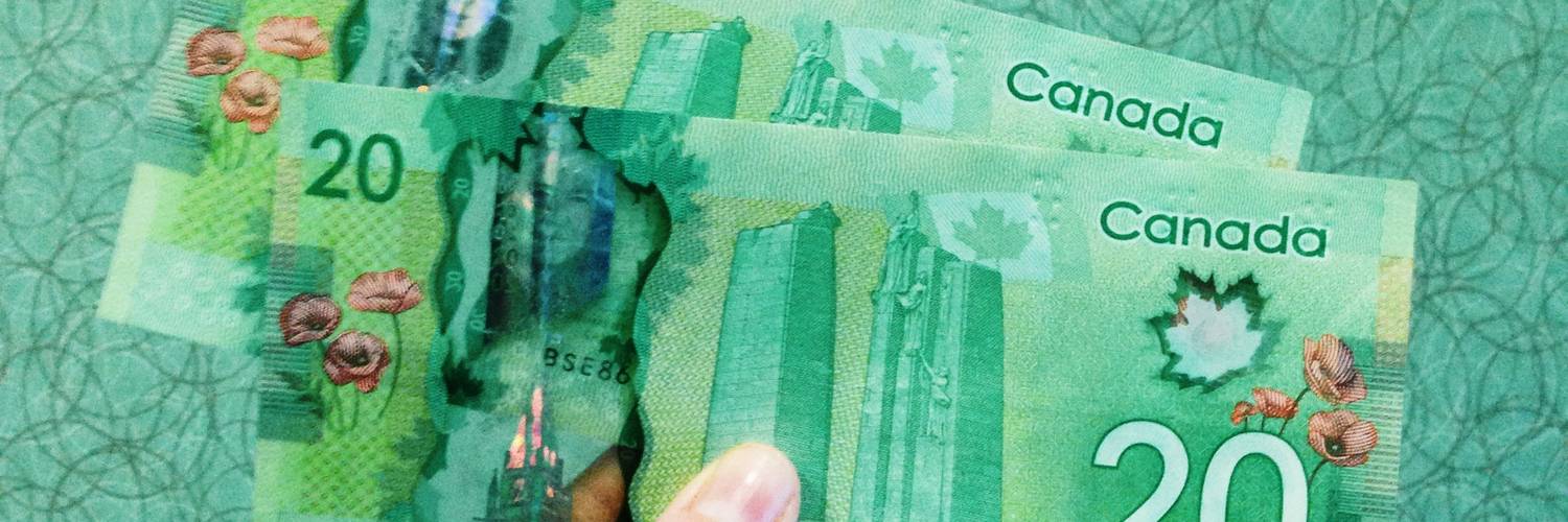 Triangle Rewards loyalty card held by Canadian shopper at Canadian Tire store